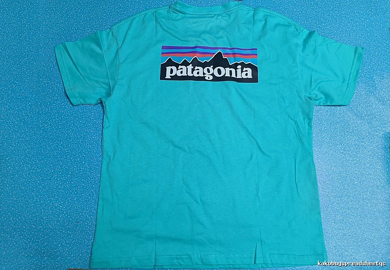 Patagonia Blue Logo T-Shirt Training Look Graphic