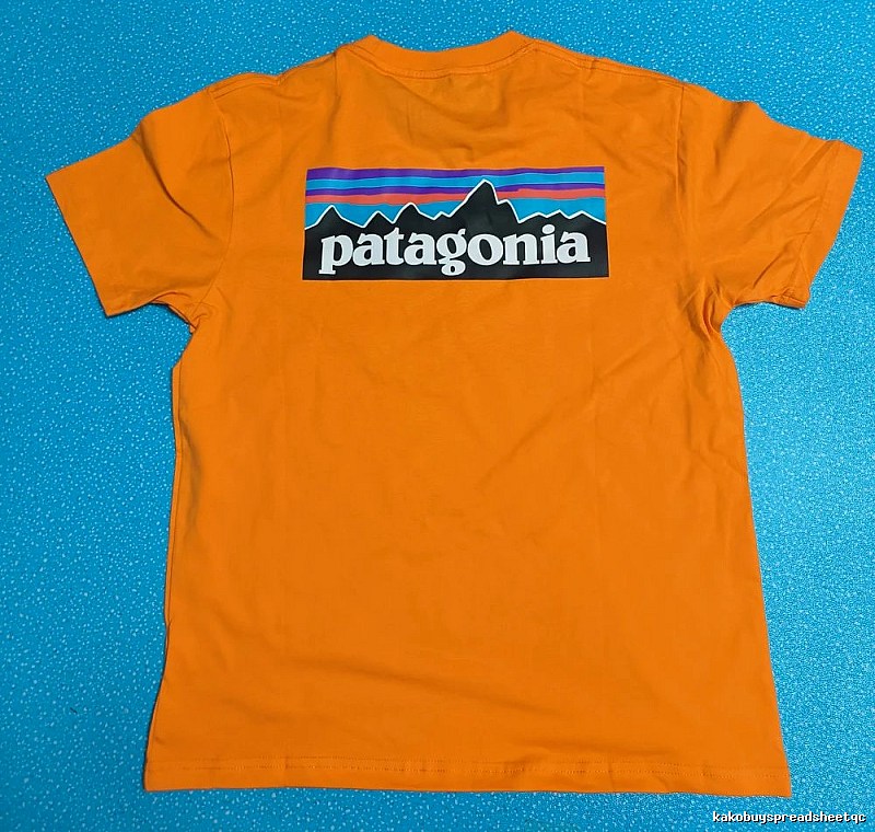 Patagonia Orange Logo T-Shirt Logo Detail Graphic